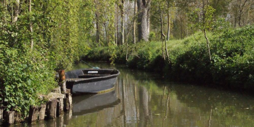 Week-end au fil de l'eau dans le Marais poitevin